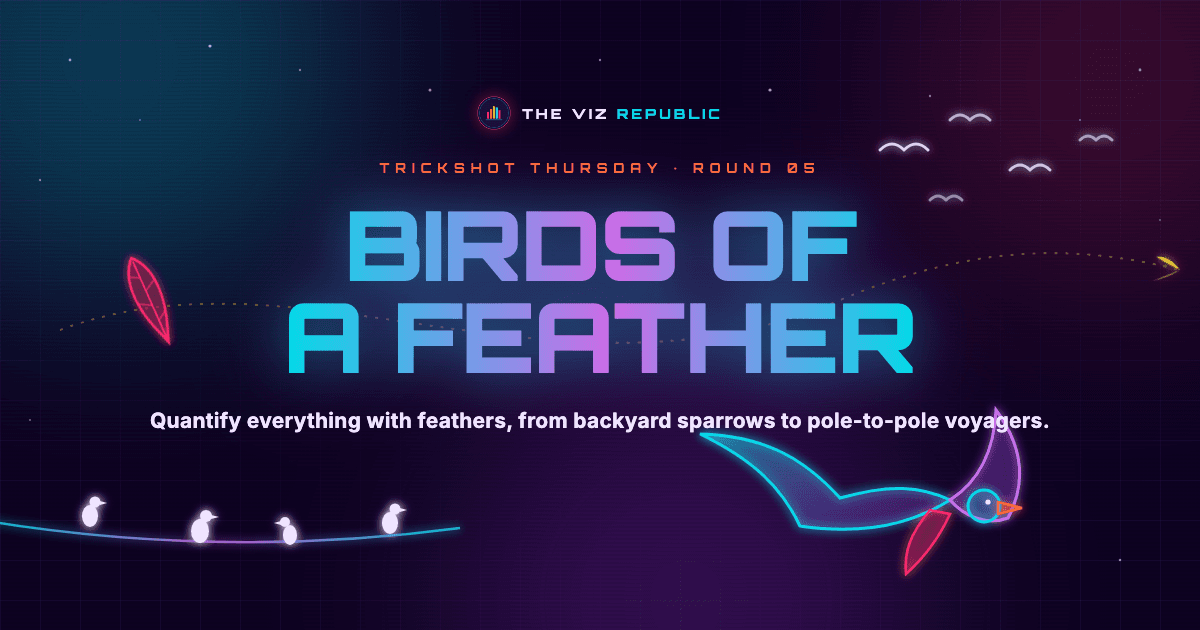 Birds of a Feather
